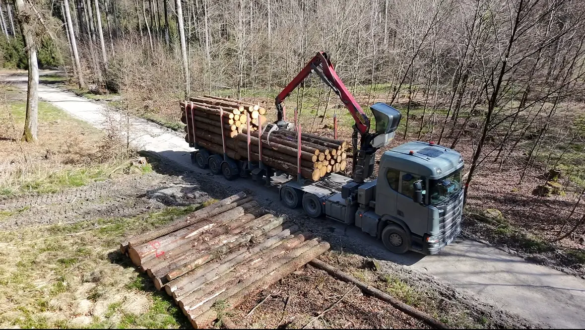 Kranfahrzeug belädt einen Auflieger mit Rundholz im Wald